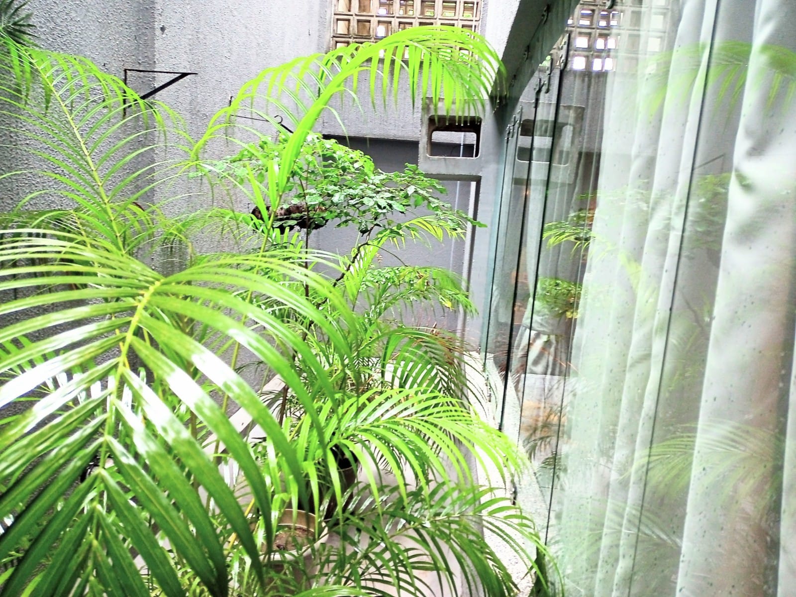 Imagem Consultório à Venda, 240 m² em Parnamirim - Recife