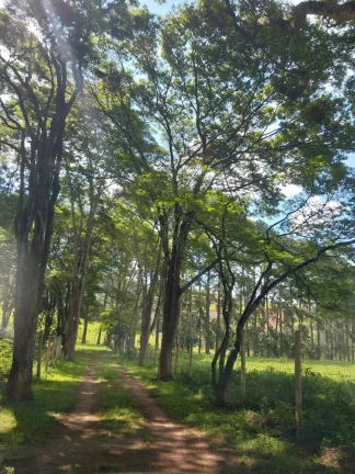 Imagem Sítio Bom Jesus dos Perdões 5.5 alqueires Escriturado!