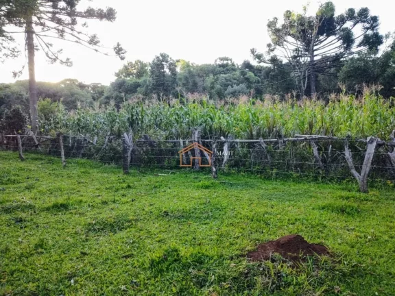 Imagem CHACARA RURAL em CAMPO BELO DO SUL - SC, Interior