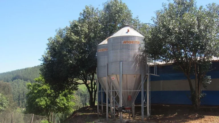 Imagem Área Agrícola para Venda em Arabuta, Rural