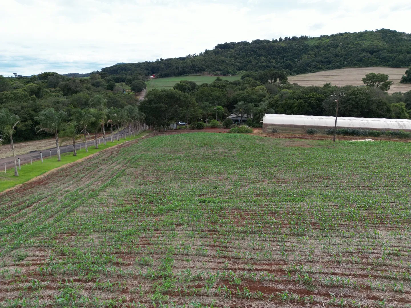 Imagem Chácara em Cascavel - Rio do Salto - Venda - Casa Sede, Lago para Pesca e Pomar - Aproveite!