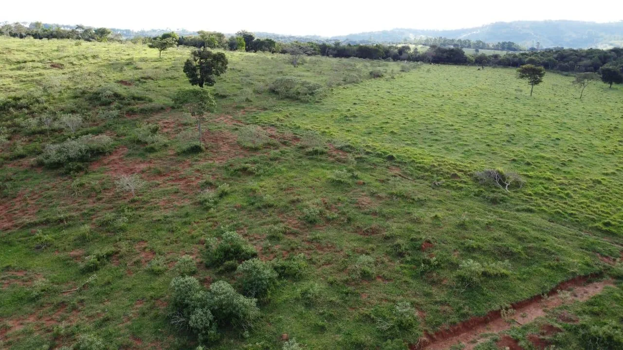 Imagem Excelente terreno rural à venda em Passa Tempo/MG 50 hectares de terra