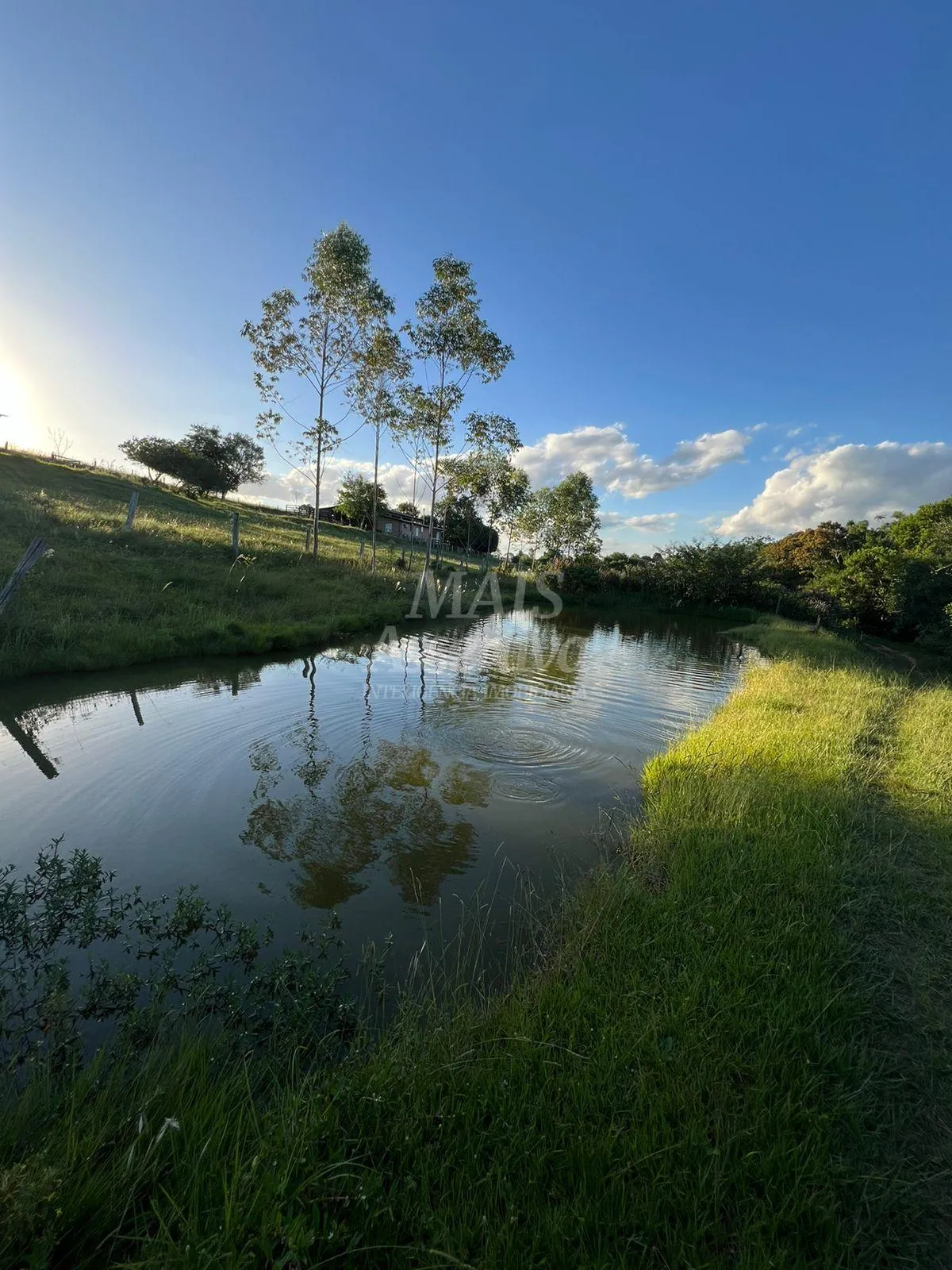 Imagem Chácara de 10 hectares para venda em Lomba Grande, Novo Hamburgo