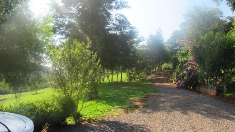 Imagem Área Agrícola para Venda em Concórdia, Interior