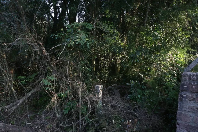 Imagem Lindos terrenos (2), belíssima mata nativa, privativo, Águas Claras