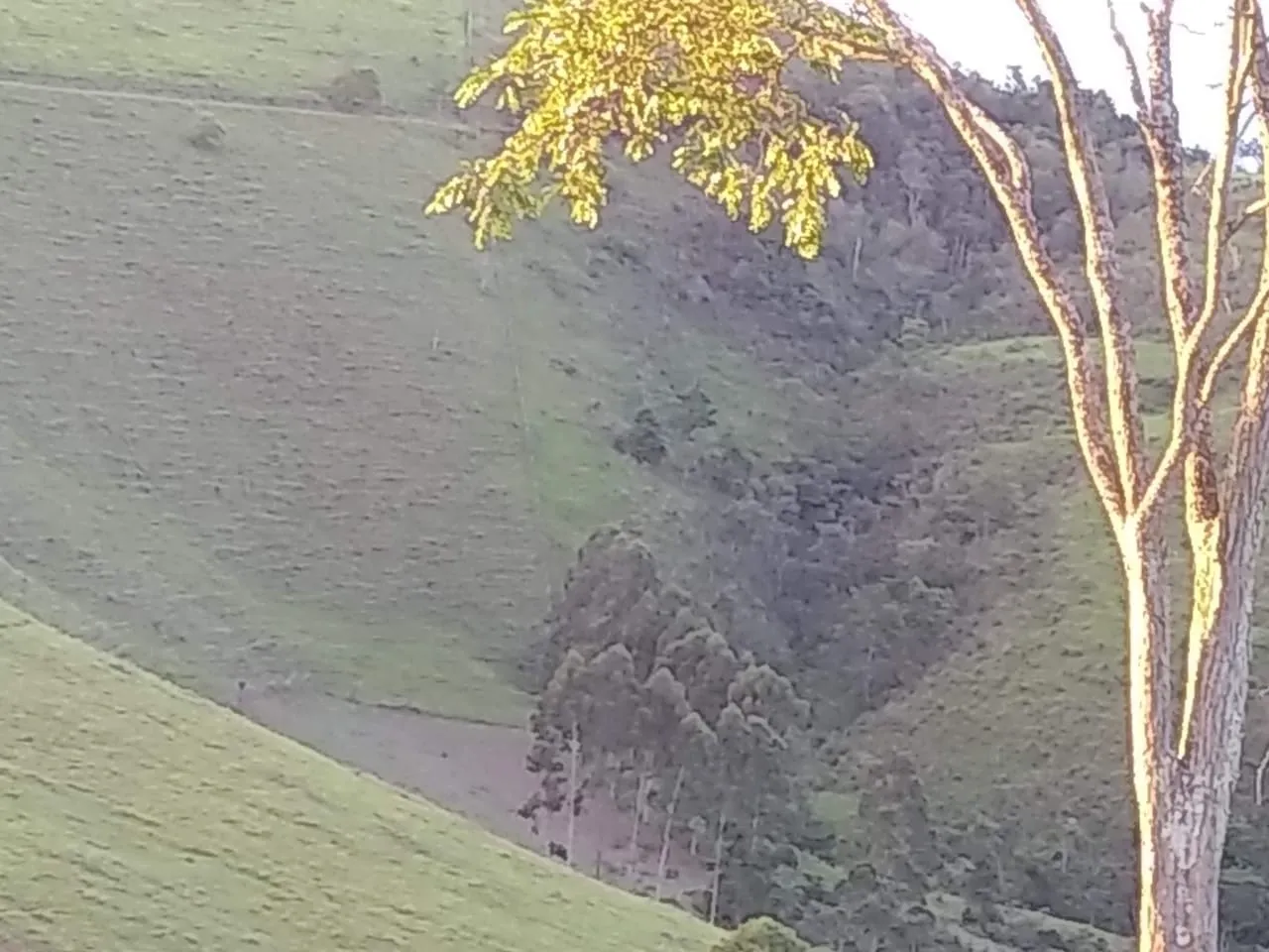 Imagem Chácara à venda 2 Quartos, 135000M², Zona Rural, Piquete - SP