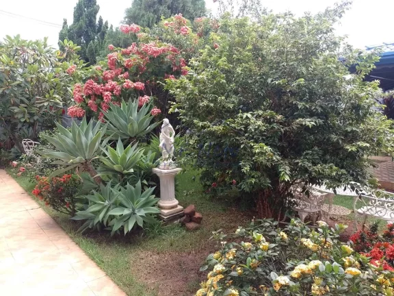 Imagem Casa Padrão