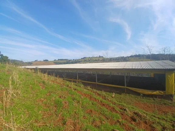 Imagem Área Agrícola para Venda em Concórdia, Interior