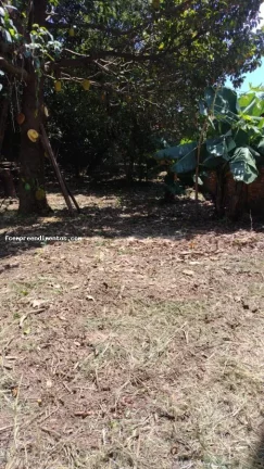 Imagem Casa para Venda em Limeira, Jardim Bandeirantes, 2 dormitórios, 1 banheiro, 1 vaga