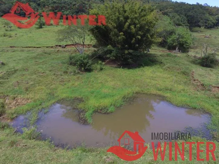 Imagem Fazenda de 61 hectares na cidade de Linha Nova.