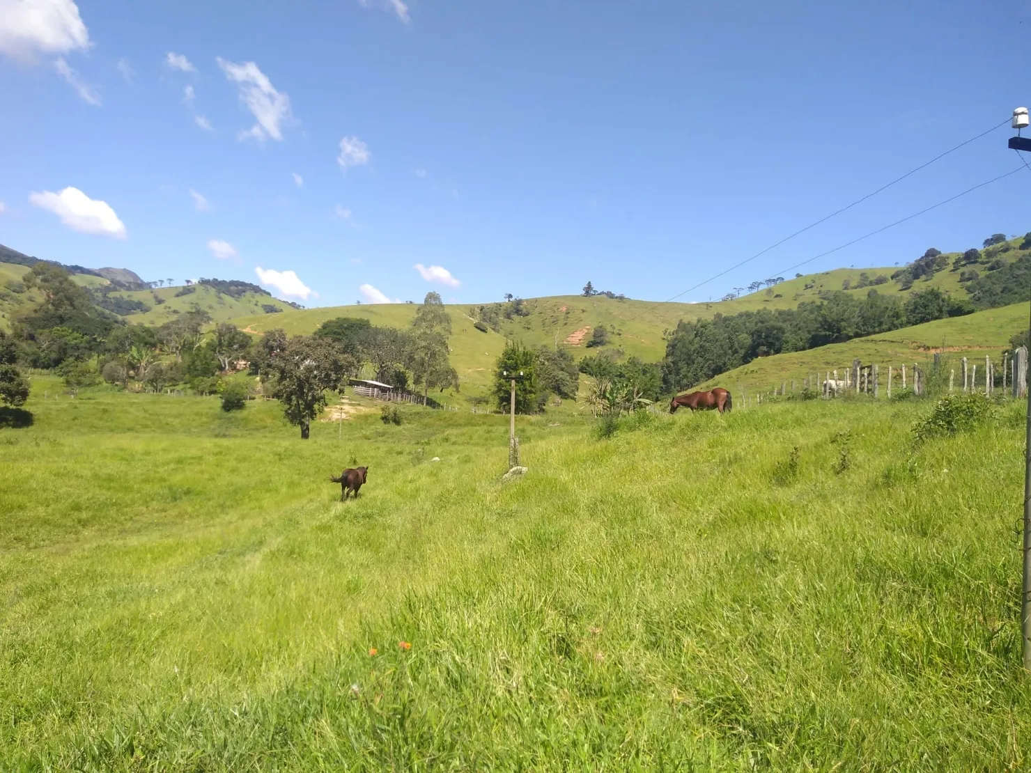 Imagem Chácara à venda 2 Quartos, 768000M², Zona Rural, Cunha - SP