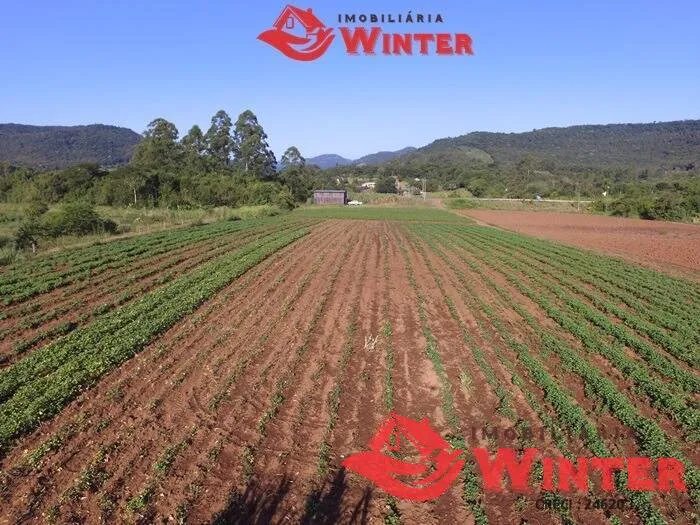 Imagem Área de terras com 11.319m² em Picada Cará, Feliz.