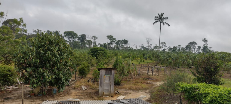 Imagem Terreno à Venda, 2.000 m² em Zona Rural - Humaitá