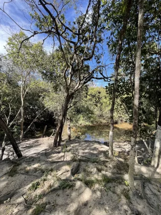 Imagem Chácara à venda no bairro Área Rural de Goianésia - Goianésia/GO, Zona Rural