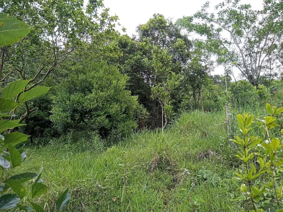 Imagem Sítio Rural com 3.6 hectares, açude, localizado no Capão da porteira