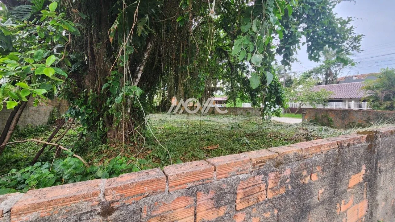 Imagem ÓTIMO TERRENO LOCALIZADO NO BALNEÁRIO PAESE, NA QUADRA DO MAR!
Em uma das melhores localizações ...