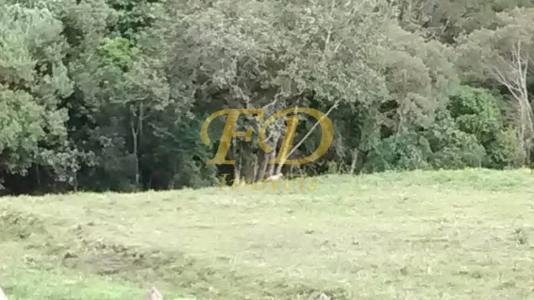 Imagem Fazenda em Joanópolis