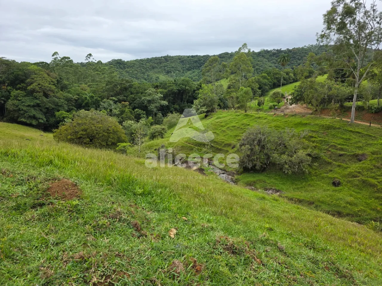 Imagem Sítio à venda em Antônio Carlos, SC, na Zona Rural - Morro da Gloria.