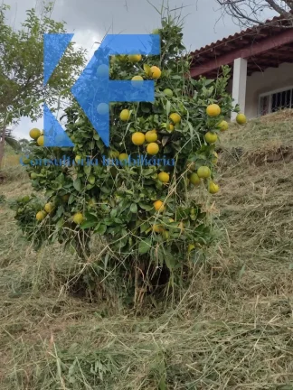 Imagem CHACARA TEMPORADA em TOLEDO - MG, Dos Formigas