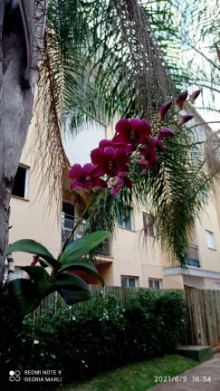 Apartamento com 2 Quartos à Venda, 51 m² em Jardim Nunes - São José do Rio Preto