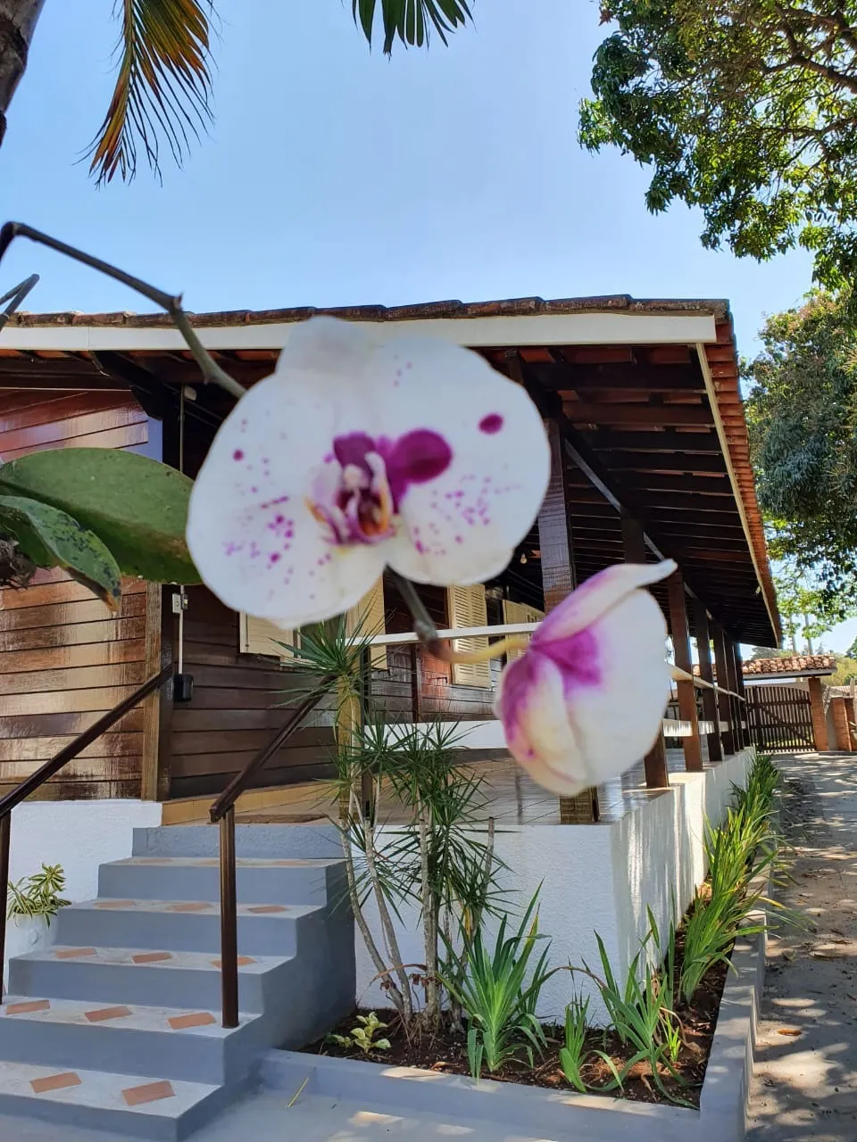 Imagem Linda Chácara a Venda Em Araçoiaba da Serra