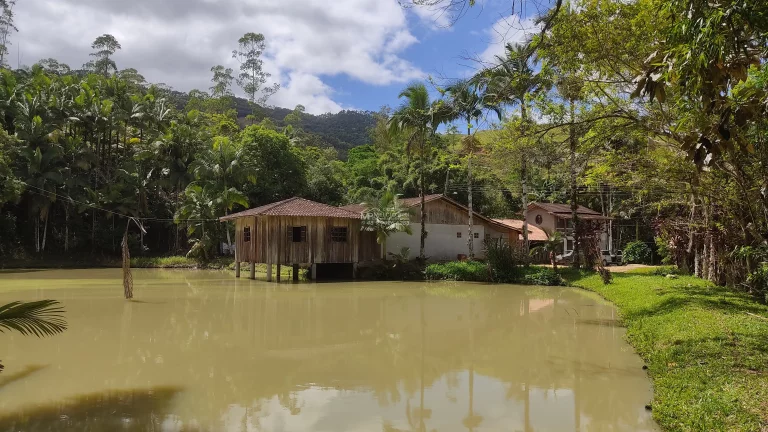 Imagem Propriedade ideal para fazer Sítio para Aluguel. Pois ja tem prontos 8 área com terraplanagem, pronto para construir.