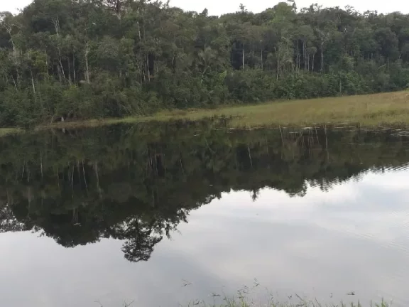 Imagem Oportunidade de adquirir uma grande área , em Rio Preto da Eva . com 15 mil hectares , escriturado e registrado