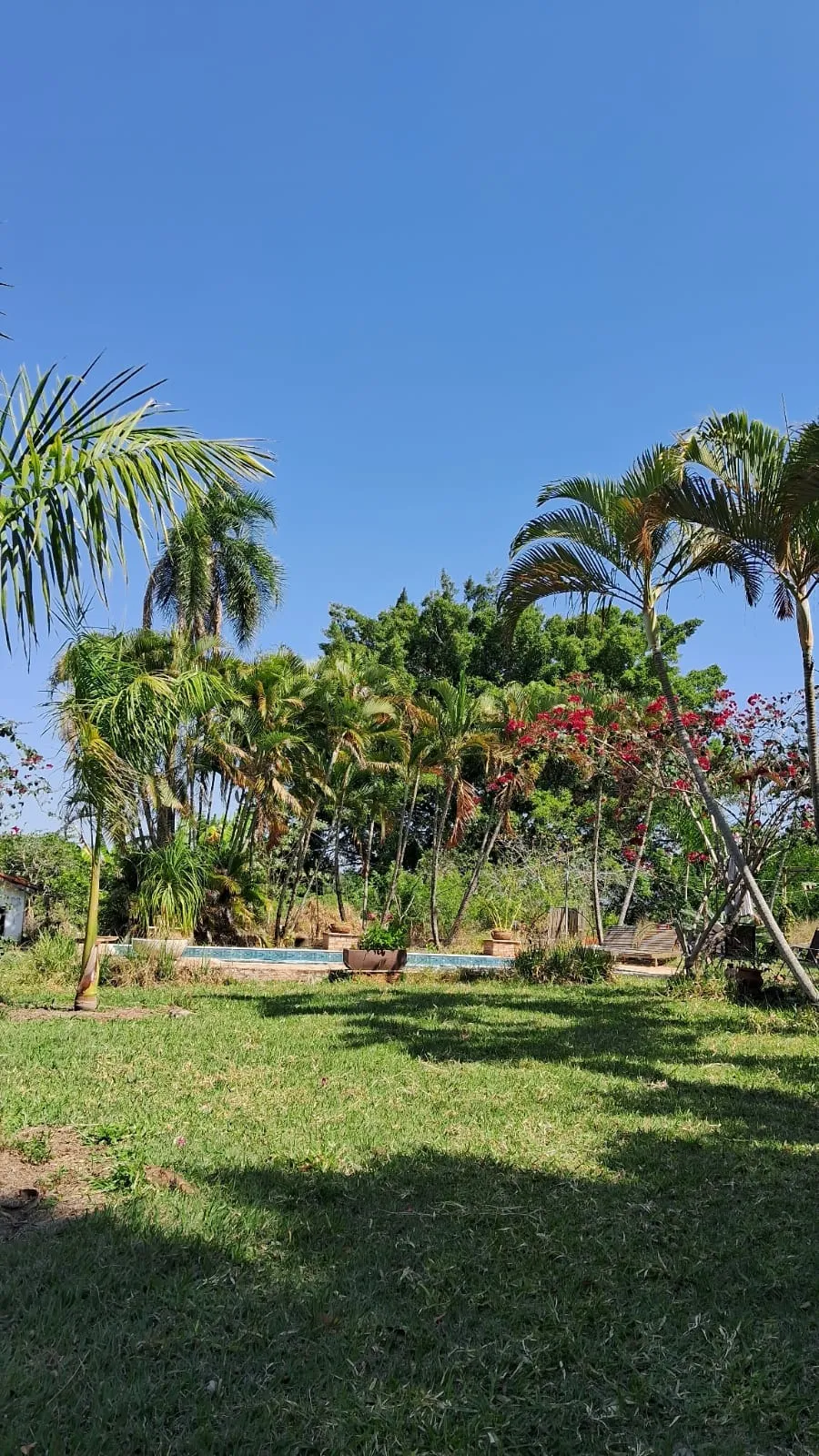 Imagem Chácara Dona Terra em Porangaba/SP ? Imóvel com Área Gourmet, Piscina e Pasto