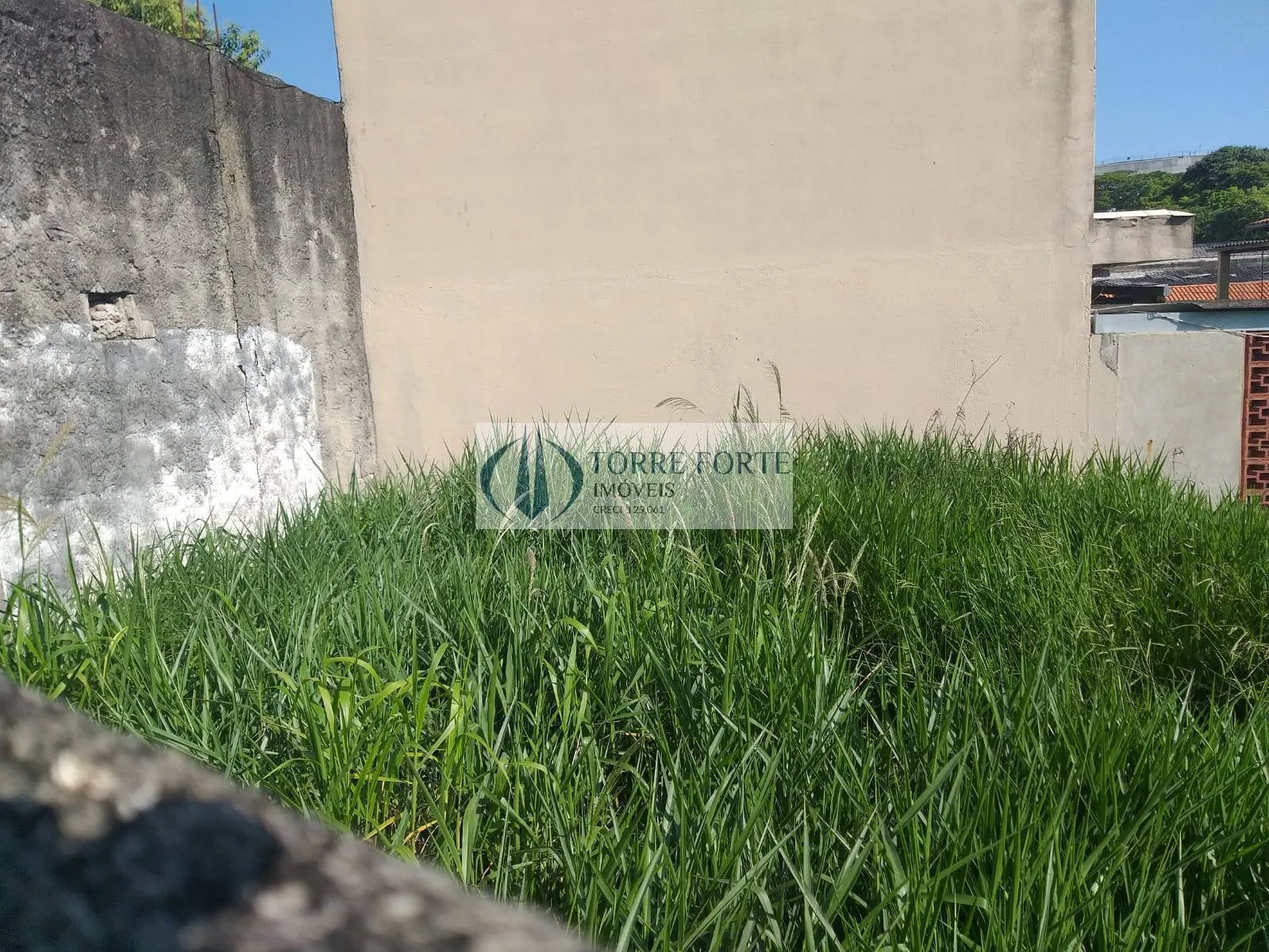 Imagem Terreno com imóvel antigo Cidade São Mateus