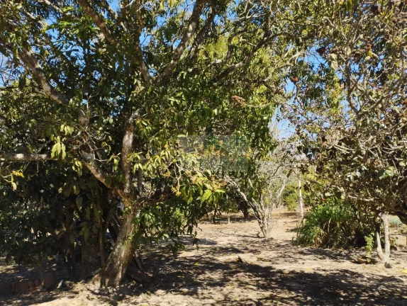 Imagem CHÁCARA NO JARDIM CANANÉIA