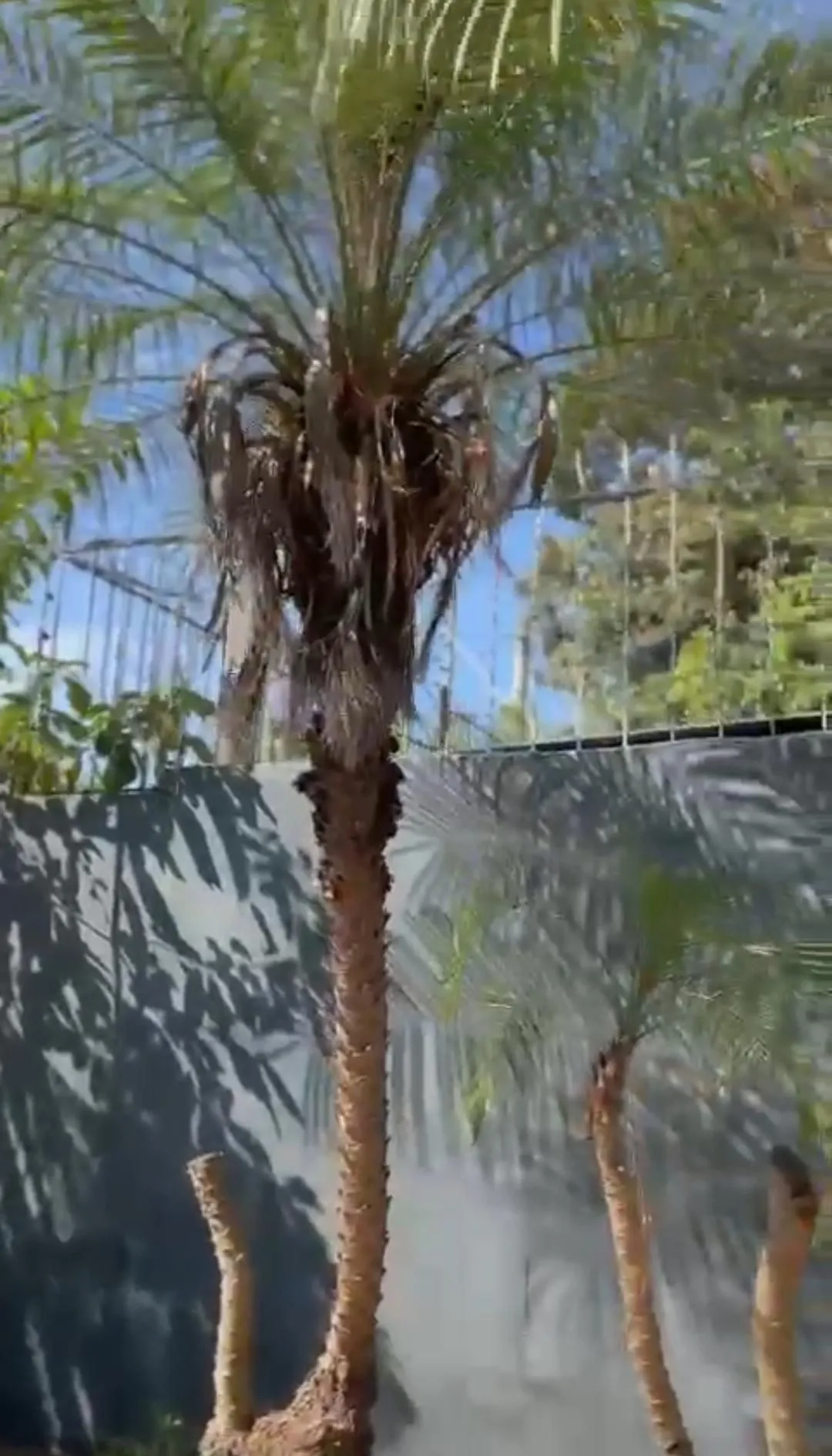 Imagem Prédio Comercial em Santana