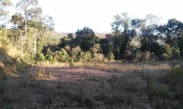 Imagem Área Rural Mairiporã lazer e moradia