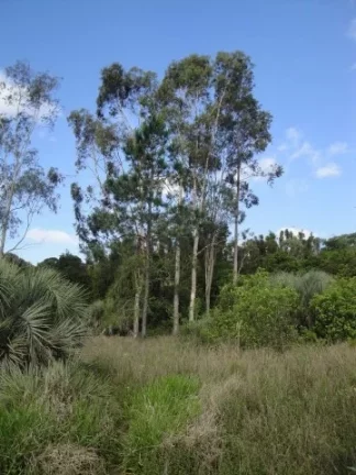 Imagem Área de 4 Hectares, Frente Estrada da Ambev, Lagoa, Águas Claras/ Viamão