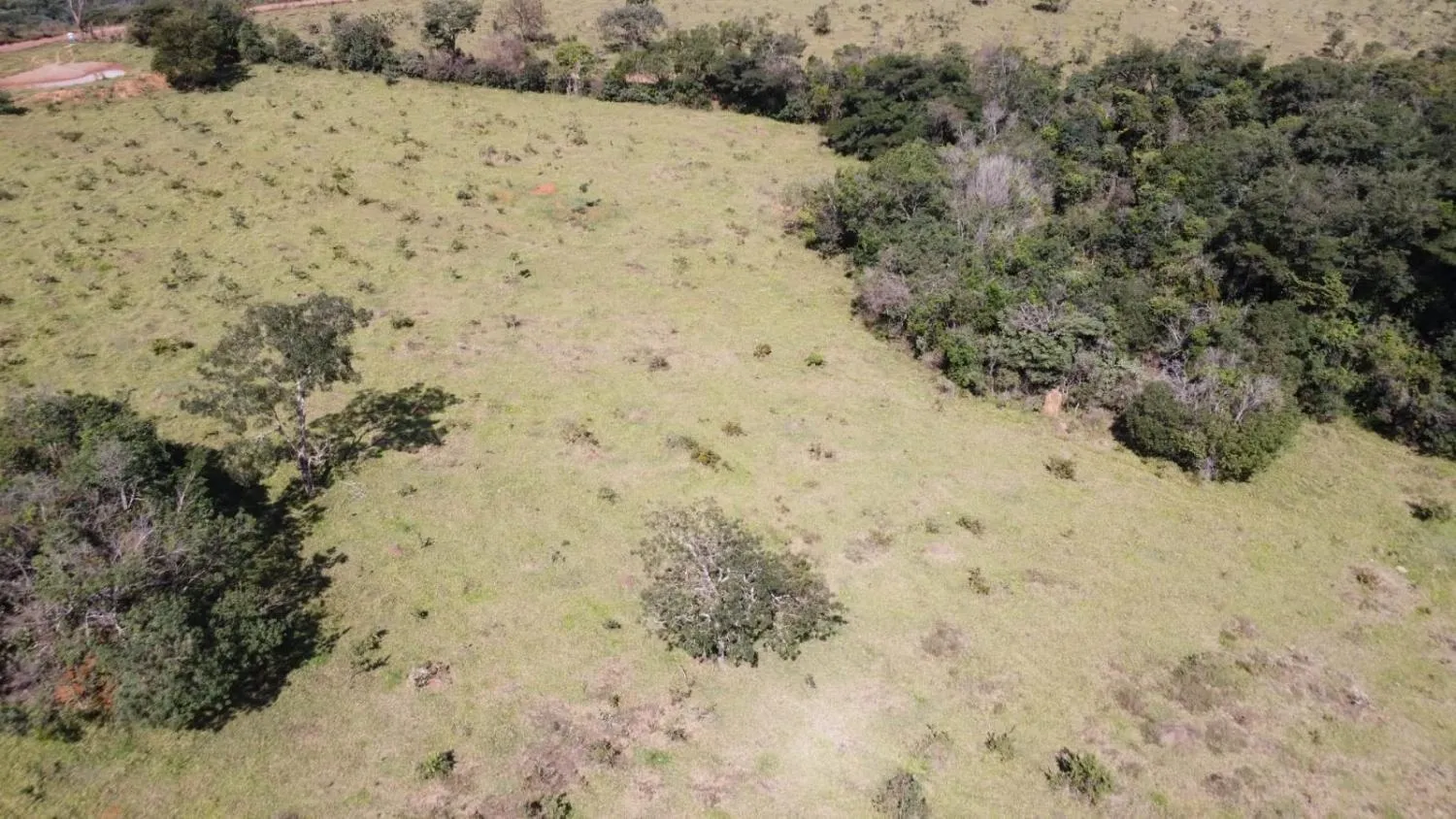 Imagem Excelente terreno rural com área de 10 hectares a venda em PASSA TEMPO/MG