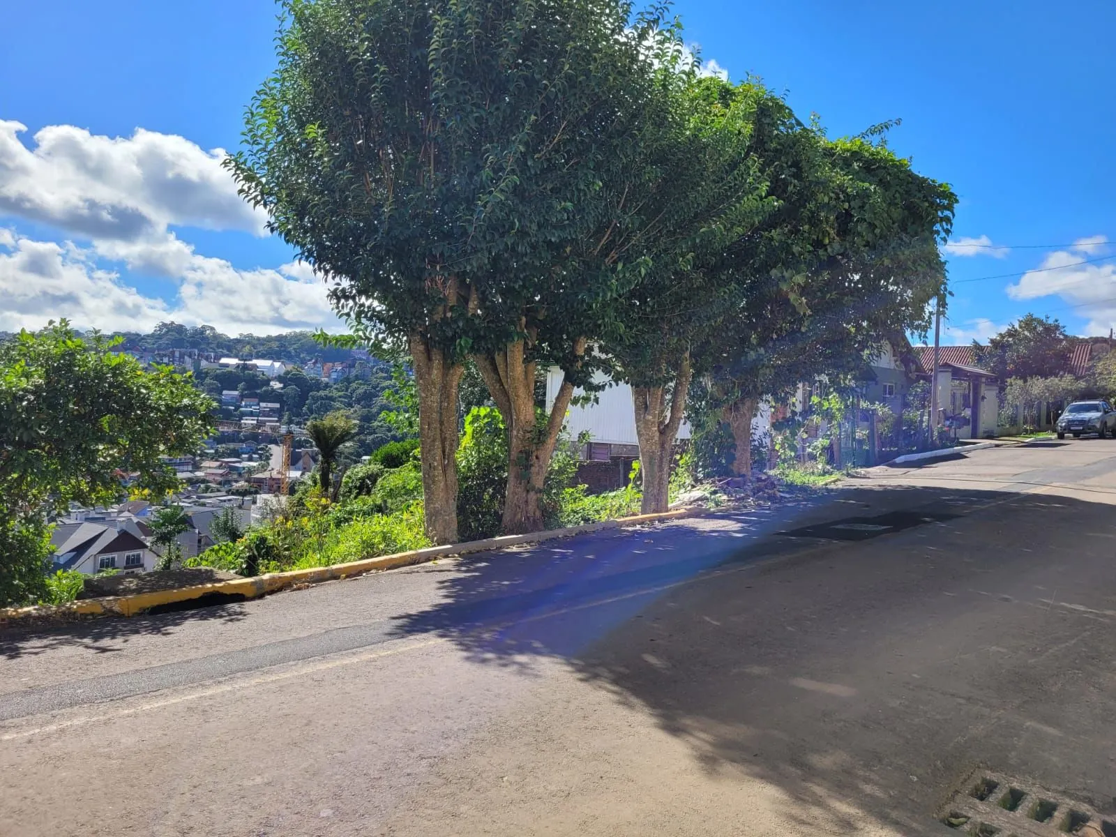Imagem Lote à venda em Gramado, Piratini, 426m2