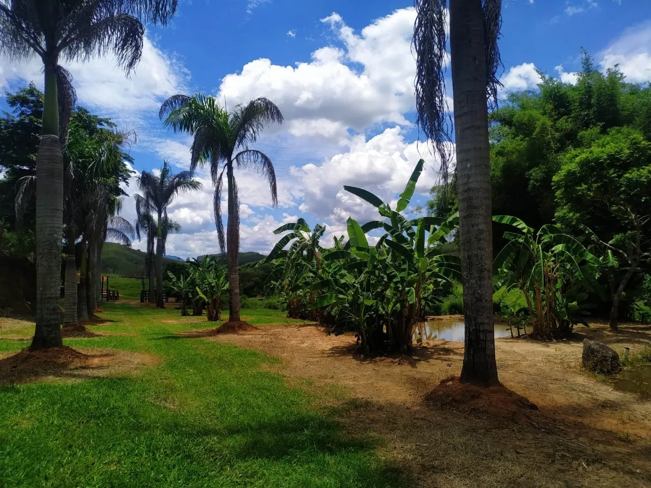 Imagem FAZENDA COMPLETA E ESTRUTURADA PARA PECUÁRIA - 105,5 ALQUEIRES