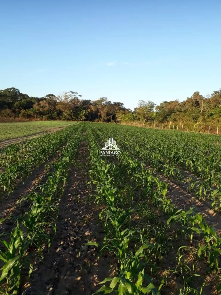 Imagem Sítio de 10,63 Hectares à Venda em Leverger/MT | Estrutura para Pecuária