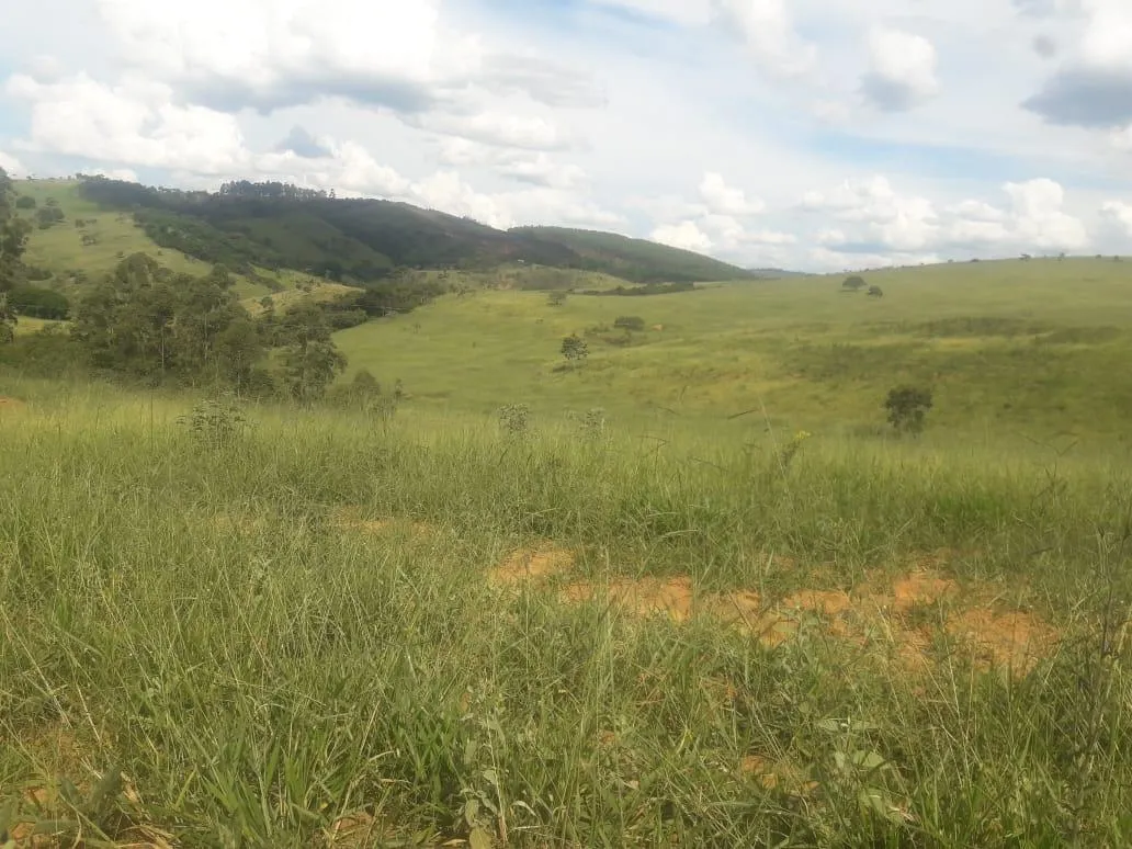 Imagem Vendo uma ótima fazenda em Passatempo 315 hectares