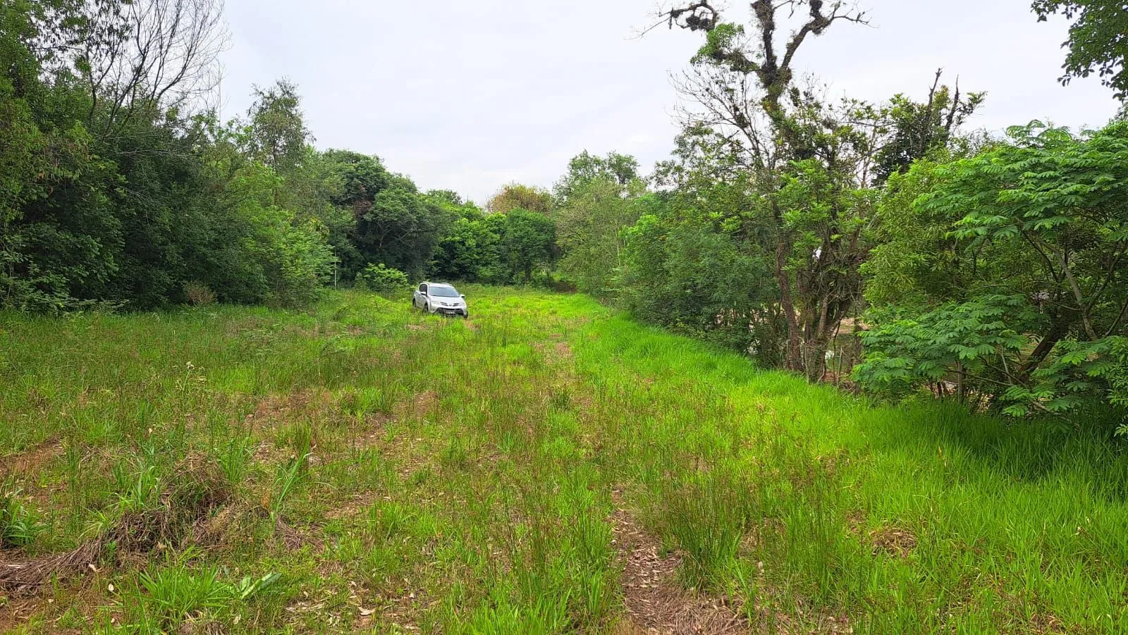 Imagem TERRENO BAIRRO EM CANOAS