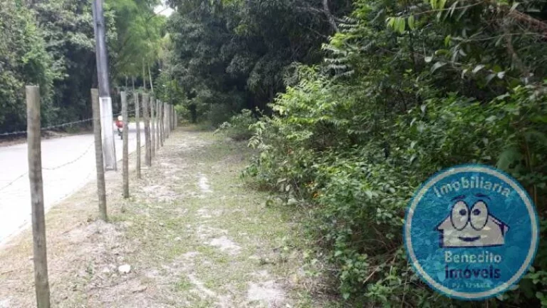 Imagem Vendo excelentes terrenos no centro de Trancoso, litoral da Bahia.