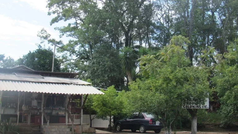 Imagem Área Agrícola para Venda em Concórdia, Rancho Grande