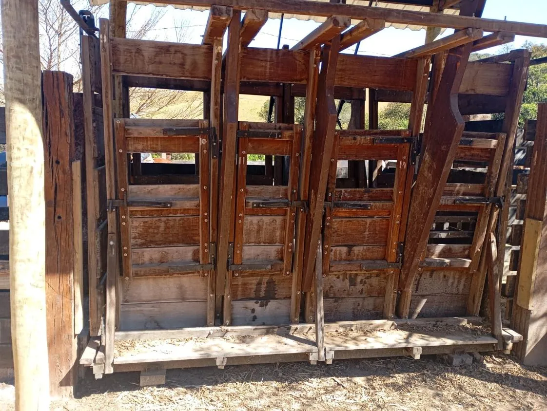 Imagem Vendo excelente sítio/fazendinha em Piedade dos Gerais/MG, com 30 hectares de terra