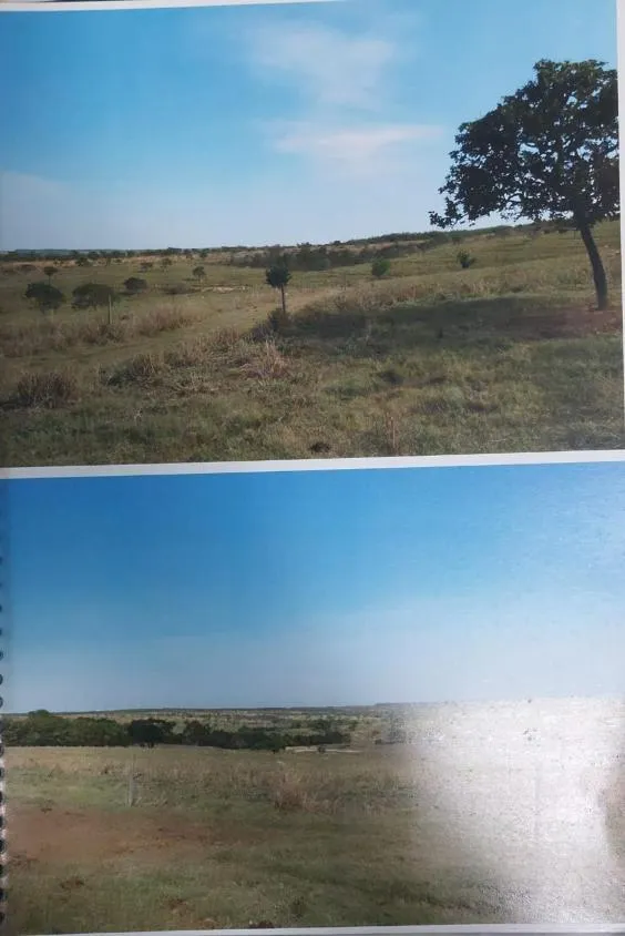 Imagem FAZENDA À VENDA - MORRO DA GARÇA (MG) 208 hectares de área total,