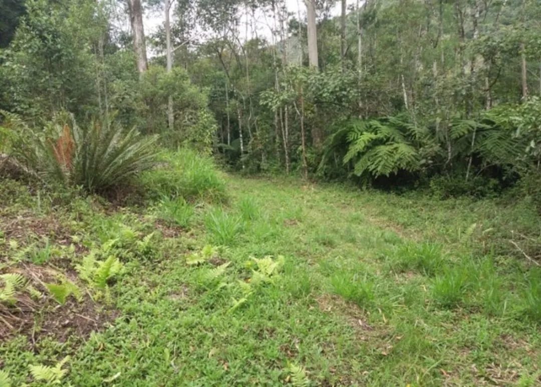 Imagem Chácara à venda 2 Quartos, 1 Suite, 170000M², Zona Rural, Paraibuna - SP