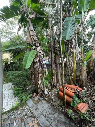 Foto do imóvel Terreno na Estufa II