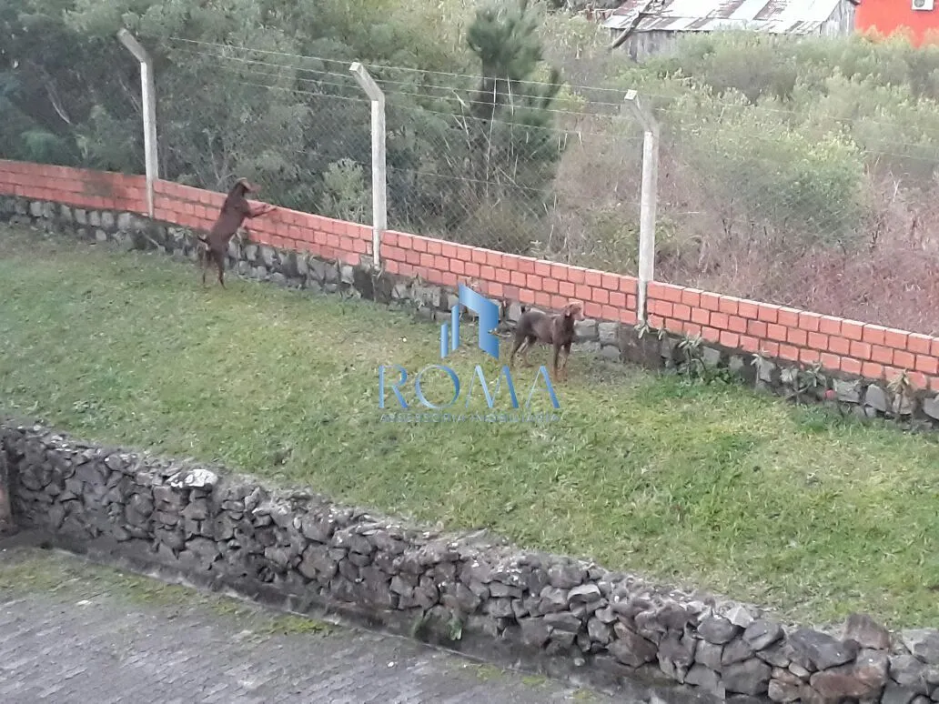 Imagem CERRITO