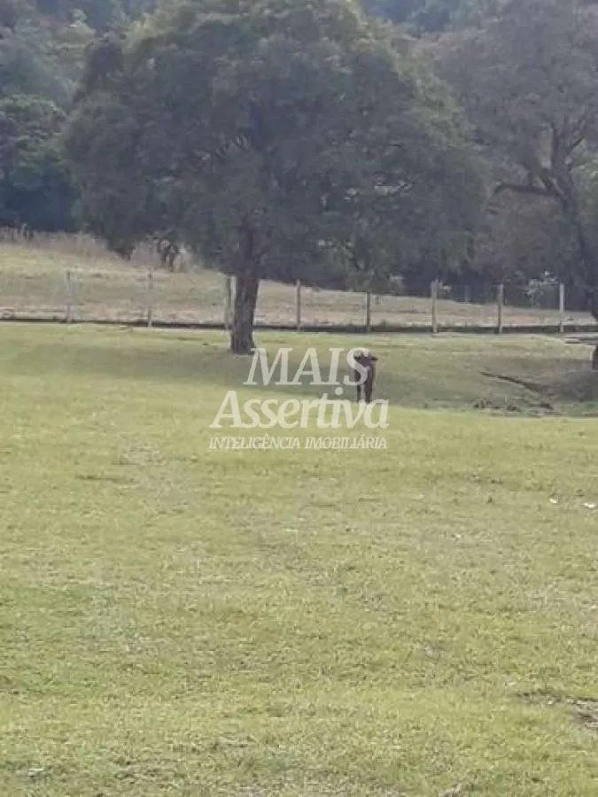 Imagem Sítio para Venda em São Francisco De Paula / RS no bairro Boa Vista