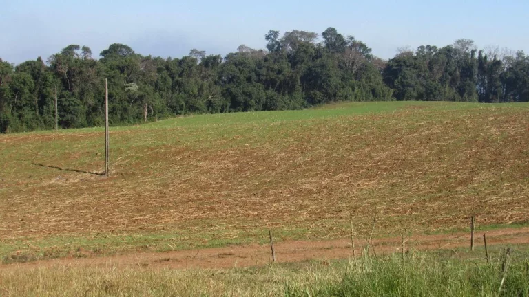 Imagem Terreno para Venda em Concórdia, Santo Antônio