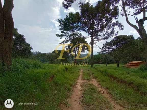 Imagem Área para Loteamento Residencial ou Comercial / Industrial