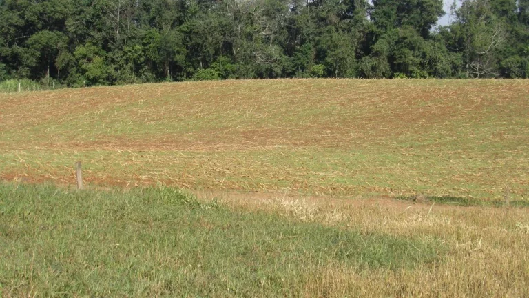 Imagem Terreno para Venda em Concórdia, Santo Antônio